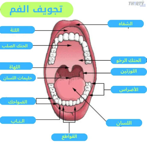 قرحة الفم
