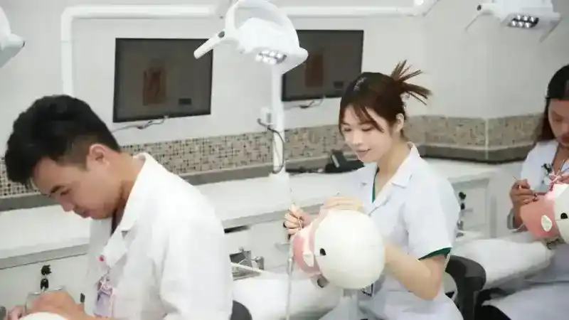 دليلك الشامل لدراسة طب الأسنان: من الشروط إلى المقاعد الجامعية 3 طلاب طب الأسنان